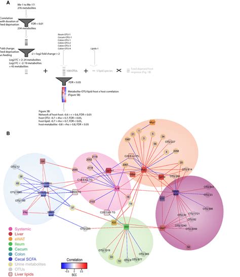 Multivariate Correlation Analysis 的图像结果