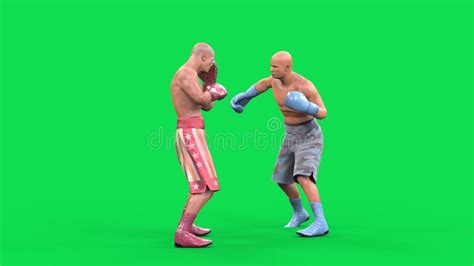 Image result for CGI Animation Boxing