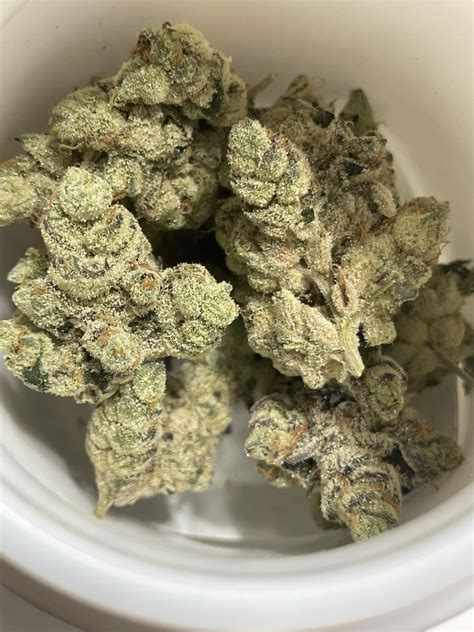 Grease monkey has become my favorite in this program. Absolutely ...