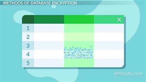 Database Encryption Methods 的图像结果