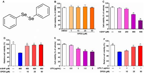 Diphenyl Diselenide Alleviates Tert-Butyl Hydrogen Peroxide-Induced ...