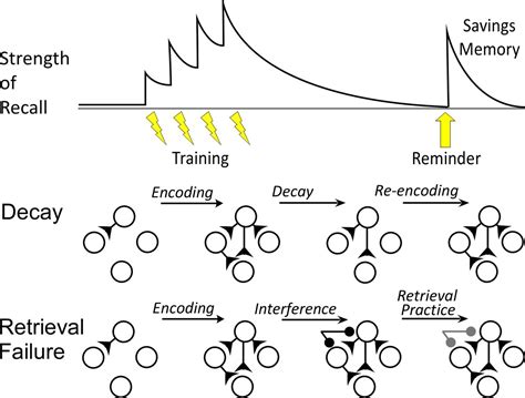 Image result for Fun Revision Task for Retrieval Failure