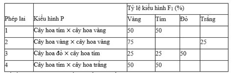 Image result for Test Driven Development Anti-Patterns Chain Gangs Example