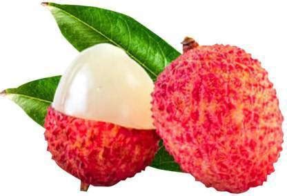 Chalisa Litchi, Lichi, Lychee Seed Price in India - Buy Chalisa Litchi ...
