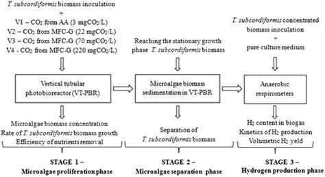 Microbial Fuel Cells as CO2 Source in the Autotrophic Cultivation of ...