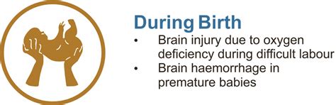 Cerebral Palsy - Cell Therapy
