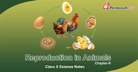Image result for NCERT Class 8 Science Chapter 9 Notes