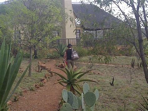 UKUTHULA BUSH SPA (Pretoria) - Specialty B&B Reviews & Photos - Tripadvisor