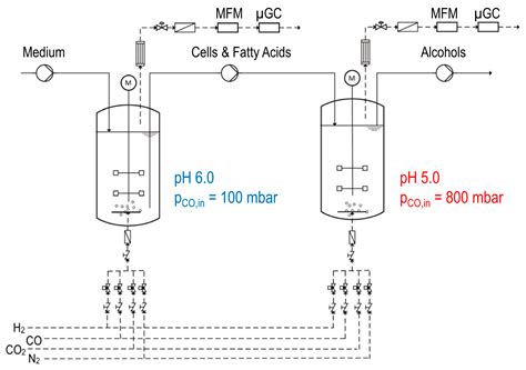 Continuous Production of Ethanol, 1-Butanol and 1-Hexanol from CO with ...