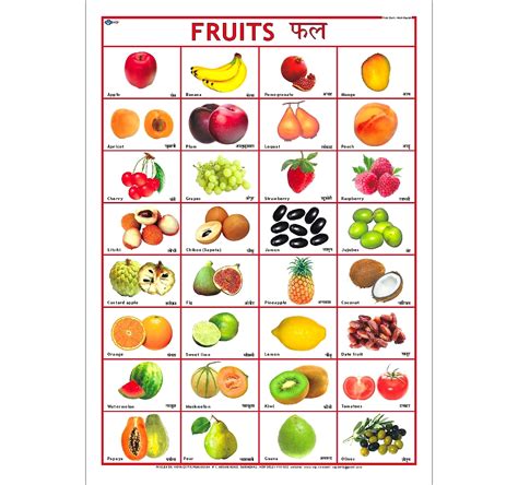 Fruits Chart (50 x 70 cm) Wall Chart | RDMALL