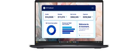 Support for Dell Pro 14 Premium PA14250 | Overview | Dell India