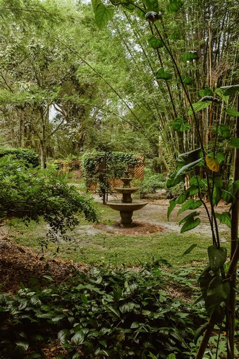 Kanapaha Botanical Gardens Photos