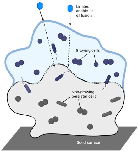 Nanosilver: An Old Antibacterial Agent with Great Promise in the Fight ...