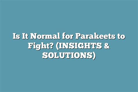 slotswinner fight insights,and for good reason