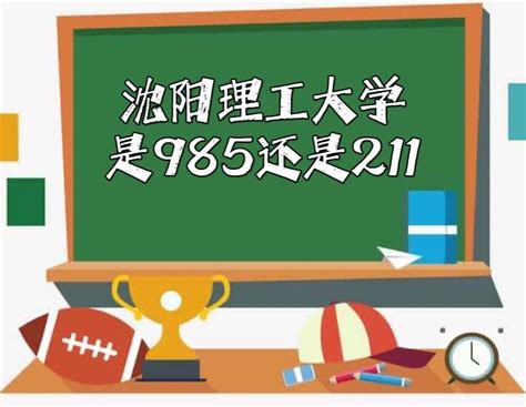 2020年沈阳市最好大学排名：29所高校上榜，辽宁大学居第二名！_工程