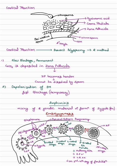 Class 12 Reproduction Videos 的图像结果