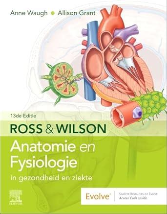 Buy Ross en Wilson Anatomie en Fysiologie in gezondheid en ziekte Book ...