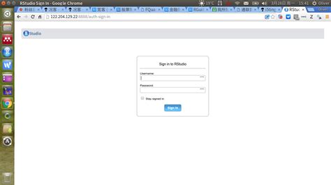 Rgui Tutorial 的图像结果