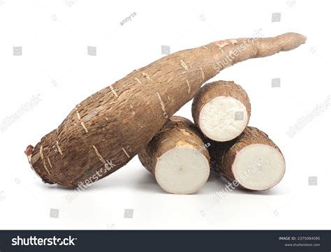 Manioc Root