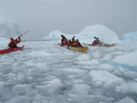 Bing Next Adventure Search 的图像结果