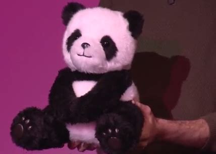 Image result for Https Get.google.com