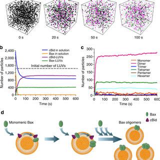 Bcf2 Structure 的图像结果