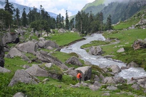 Check out your ultimate guide to Exploring the Best 15 Treks from Kasauli