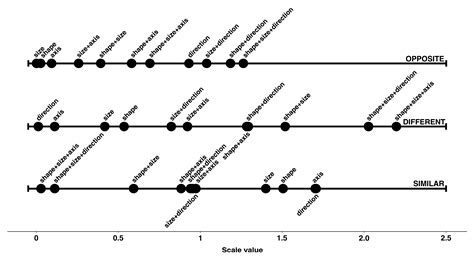 The Perception of Similarity, Difference and Opposition