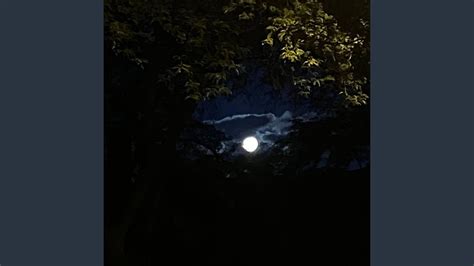 best spin winners youtube