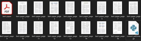 PDF to Image Python 的图像结果
