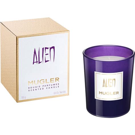 Image result for Alien 3 Candle Scene