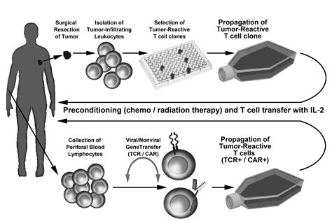 Recombinant DNA Technology 的图像结果