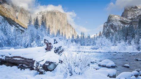 Winter snow storms force Yosemite National Park to close - Dips and Trips