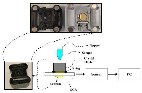 Gels | Special Issue : Biomimetic Hydrogels