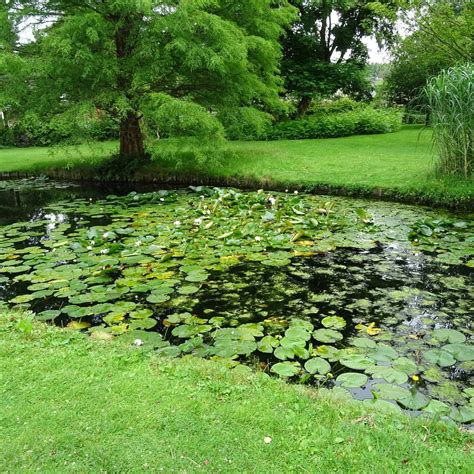 het Cantonspark van Baarn uit 1915 - All You Need to Know BEFORE You Go