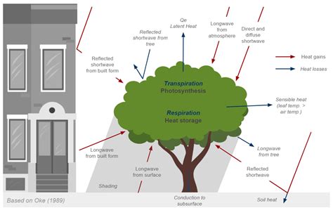 Understanding Urban Cooling of Blue–Green Infrastructure: A Review of ...