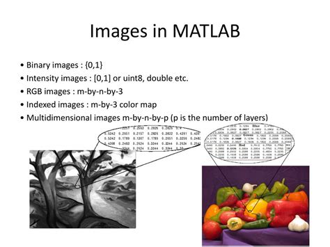 Image result for Image Reading MATLAB