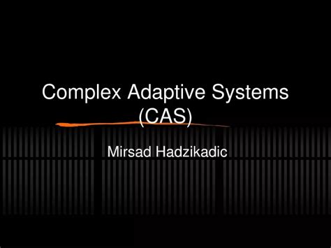 Image result for Complex Adaptive Systems Modeling