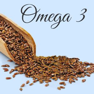 Sinew Nutrition Roasted Flax Seeds 800gm : Amazon.in: Grocery & Gourmet ...