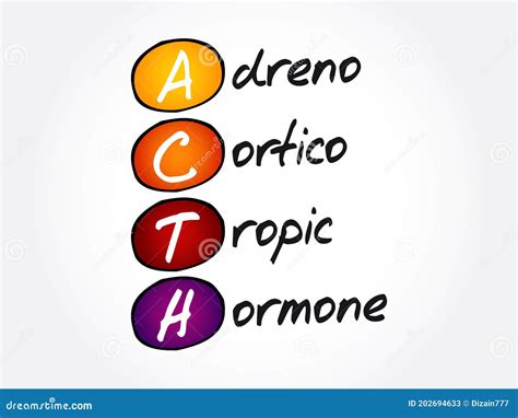 ACTH Adrenocorticotropic Hormone - Polypeptide Tropic Hormone Produced ...