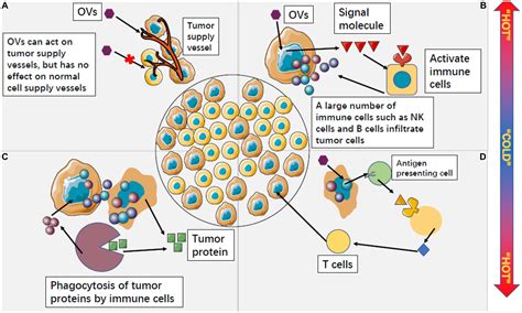 مقالات علمی – Vaxogen