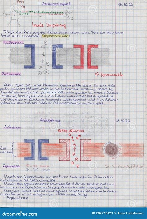 School Student S Notes on Biology in School Notebook about Mechanism of Transmission of Nerve ... - mechanism of transmission of nerve impulse