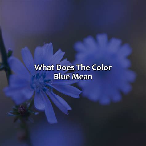 What Does The Color Dark Blue Mean - colorscombo.com