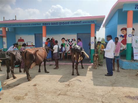 NIANP News and Announcements