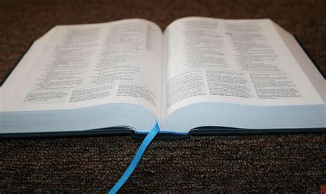 NLT Parallel Study Bible 的图像结果