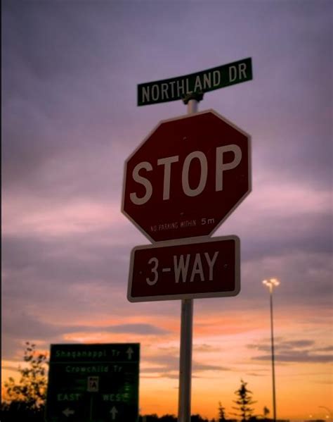 JavaScript AdoptMe 的图像结果