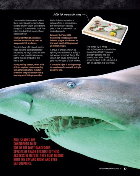 Image result for Totally Random Facts