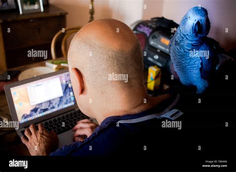 Computerizing 的图像结果