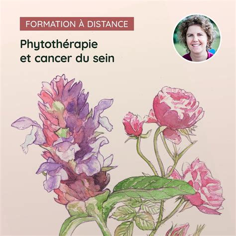 Phytothérapie et cancer du sein, Online event, Rimouski, Quebec, 11 ...