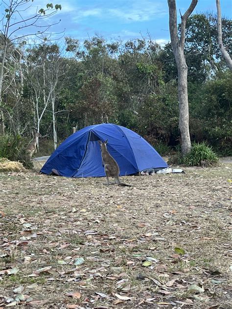 2023 Year 10 Camp: Higher Ground | Trinity Lutheran College